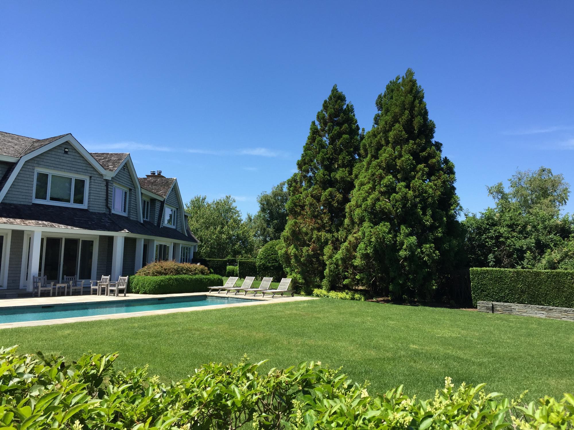Ray Smith Associates
